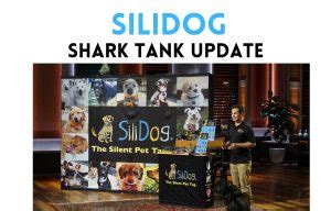 silidog net worth|SiliDog Shark Tank Update: How They’re Changing Pet Care。